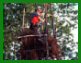 La chasse � Poh�n�gamook